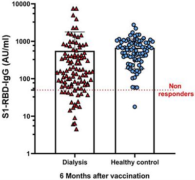 Longevity of Humoral Response Six Months Following BNT162b2 Vaccine in Dialysis Patients